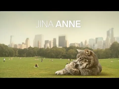 Design Systems: Real Talk – Jina Anne – btconfDUS2017